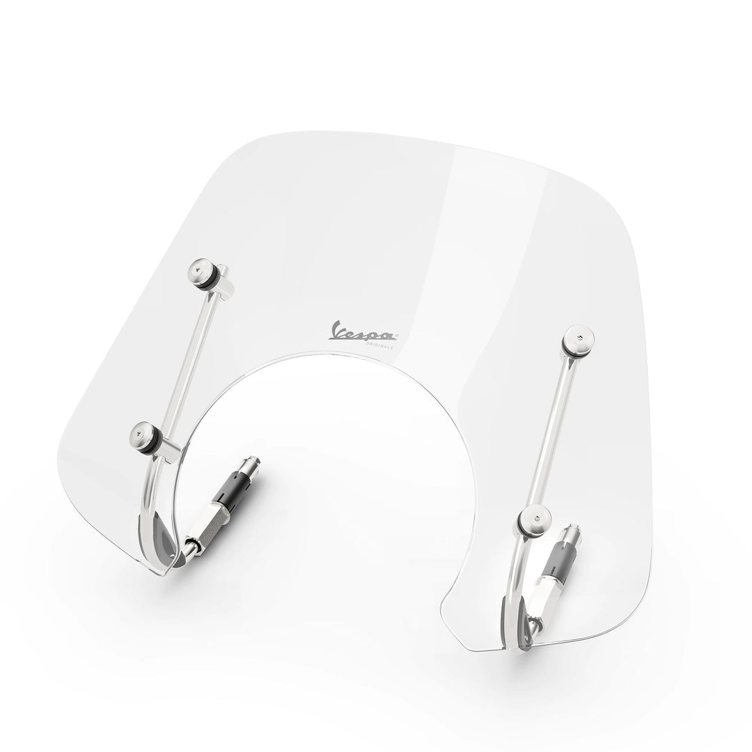 TRANSPARENT FLYSCREEN GTS