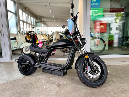 E-Scooter HL 6.0